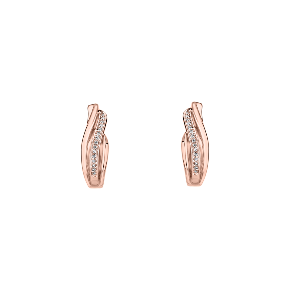 Diamond earrings Precious Ray