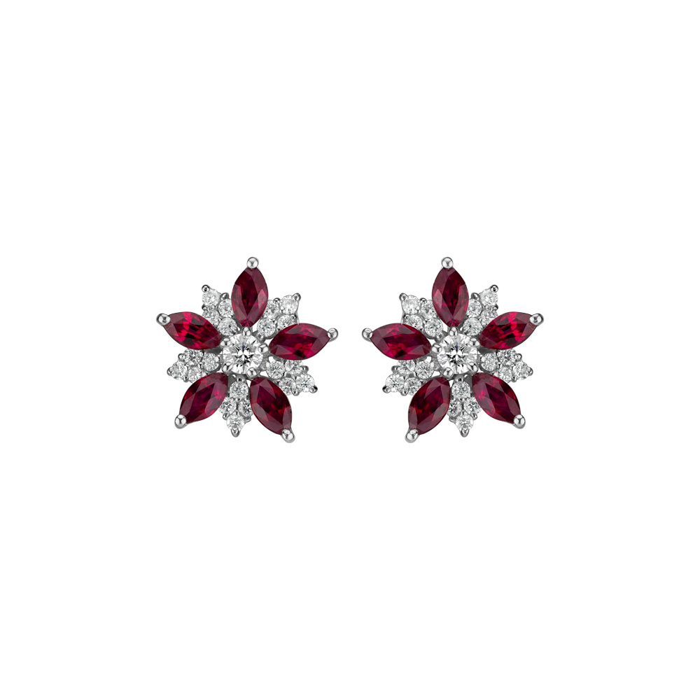 ALO-19-216-50106_334902190B.