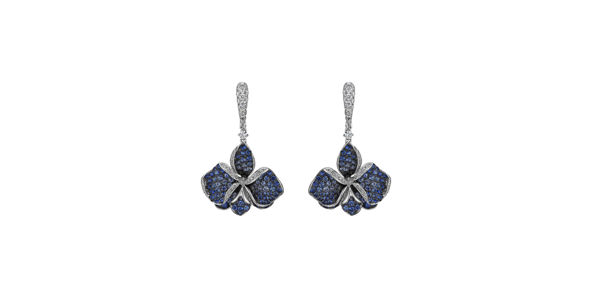 Diamond earrings and Sapphire Iris