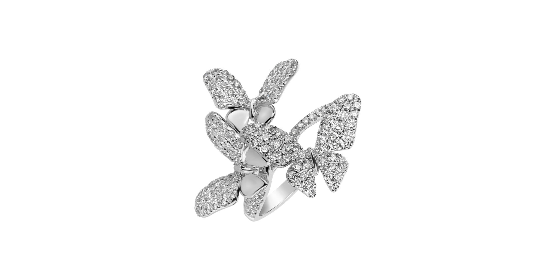 Diamond ring Family of Wings