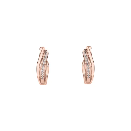 Diamond earrings Precious Ray