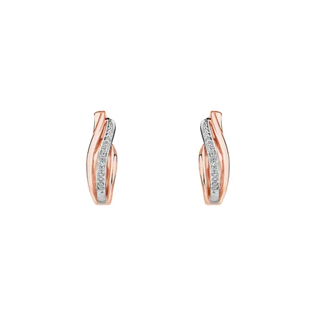 Diamond earrings Precious Ray