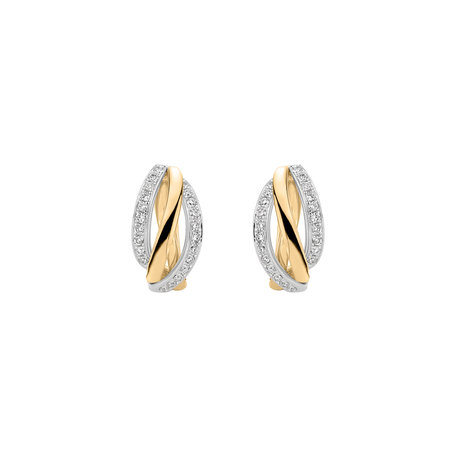 Diamond earrings Amazing Passion