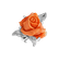 Diamond ring with Coral Greta2