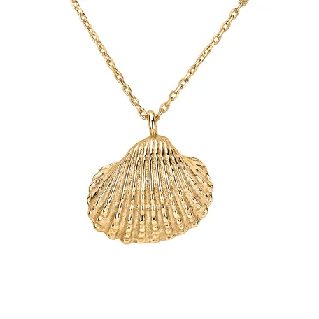 Diamond necklace Luxury Clam