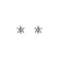 Diamond earrings Star Secret2