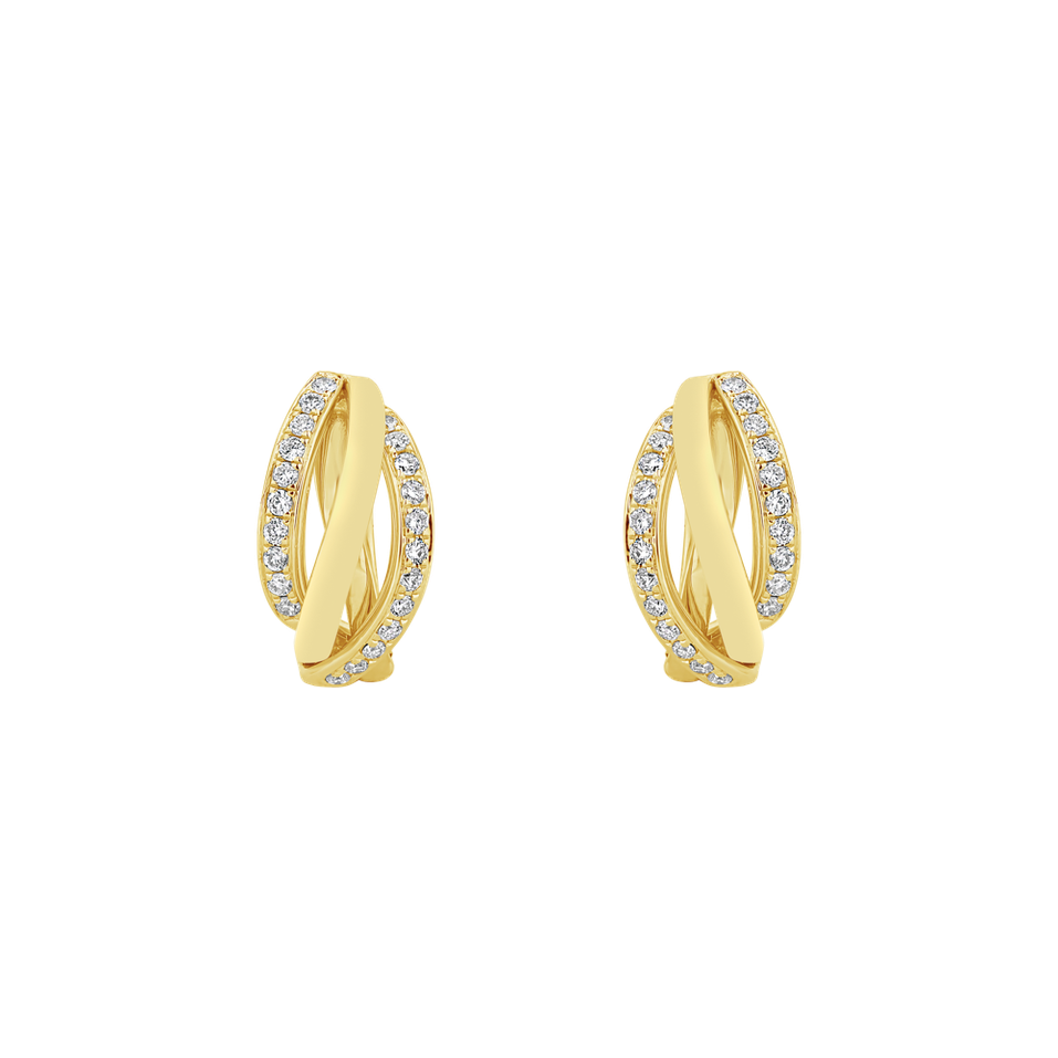 Diamond earrings Amazing Passion