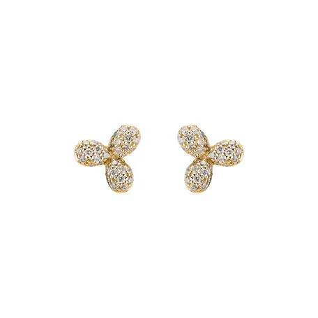 Diamond earrings Nature Beauty