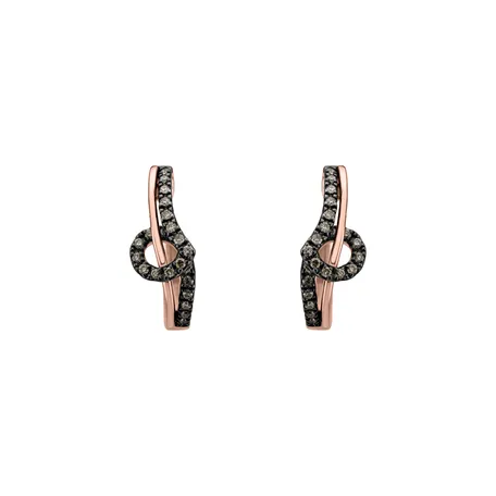 Earrings with brown diamonds Shine Melody