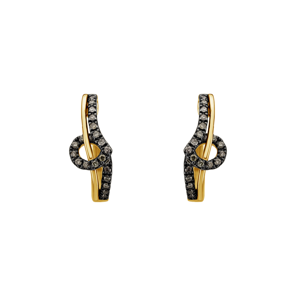 Earrings with brown diamonds Shine Melody