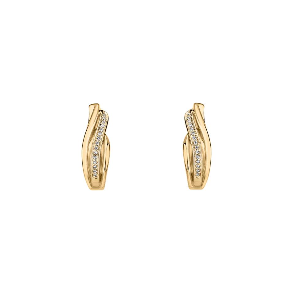 Diamond earrings Precious Ray