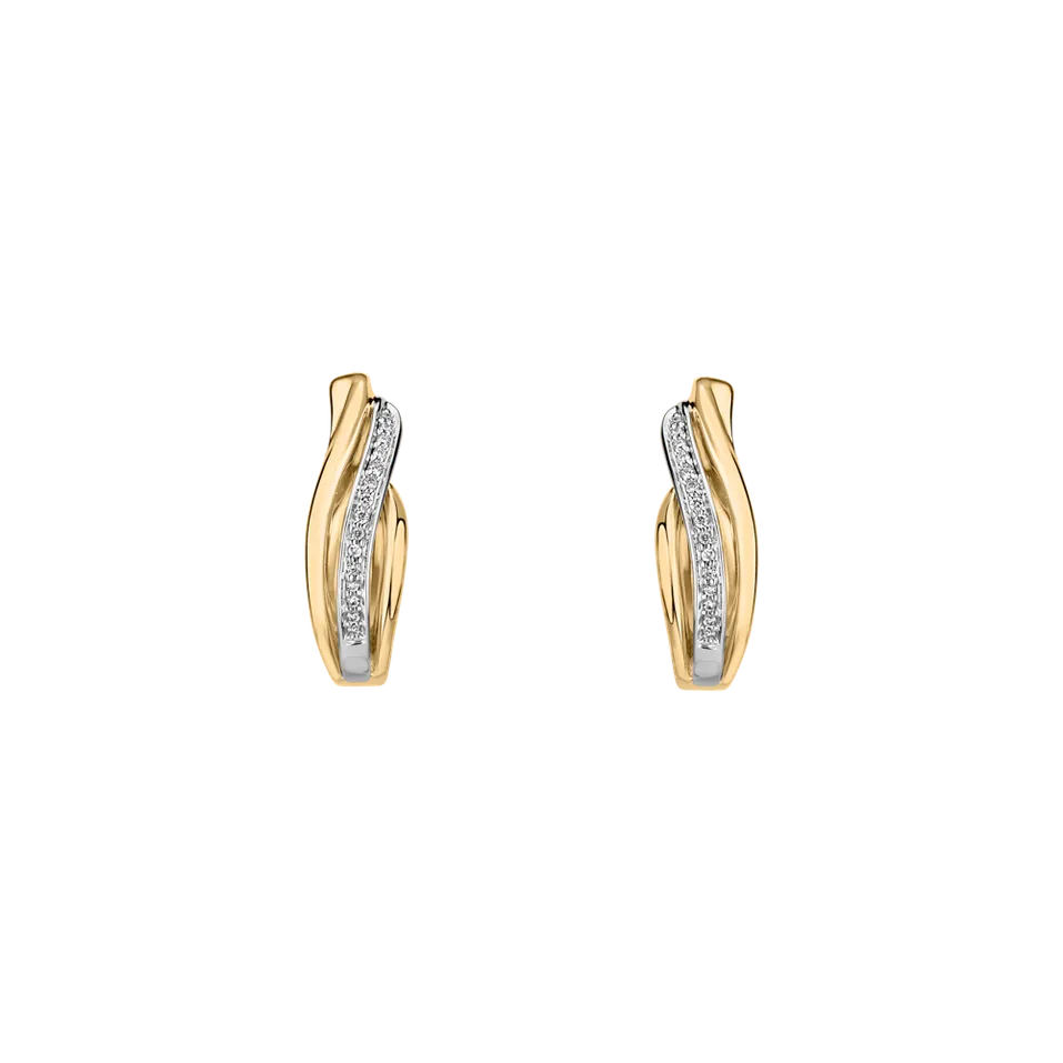 Diamond earrings Precious Ray