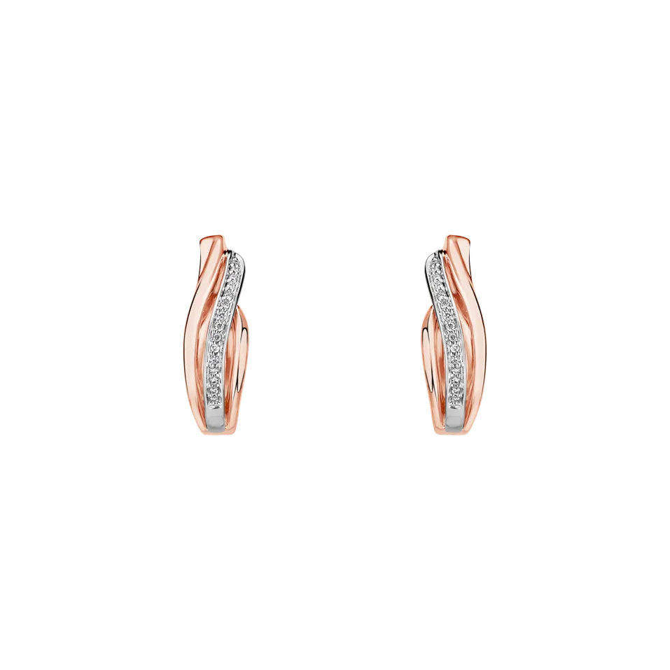 Diamond earrings Precious Ray