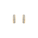 Diamond earrings Shiny Ray2