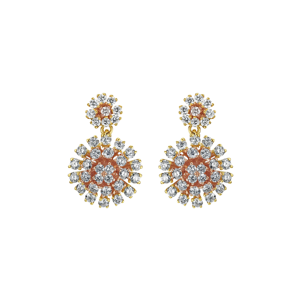 Diamond earrings Haswienga