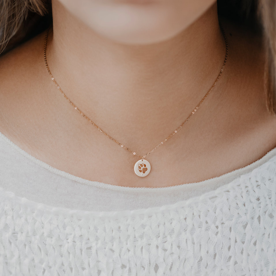 Diamond necklace Dog Paw
