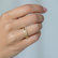 Diamond ring Dream Message3