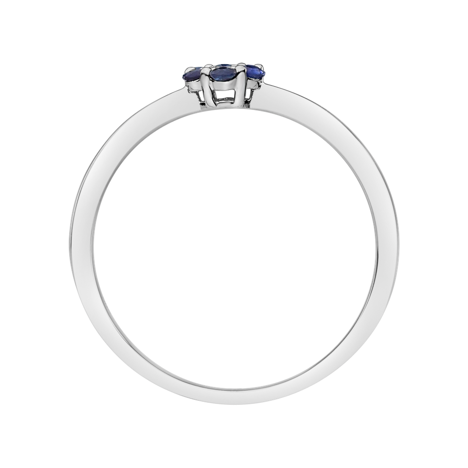Diamond ring with Sapphire Shiny Constellation