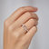Diamond ring Shiny Ribbon5