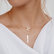 Diamond necklace Passion Love6