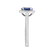 Diamond ring with Sapphire Princess3
