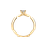 Diamond ring Vivid Love3
