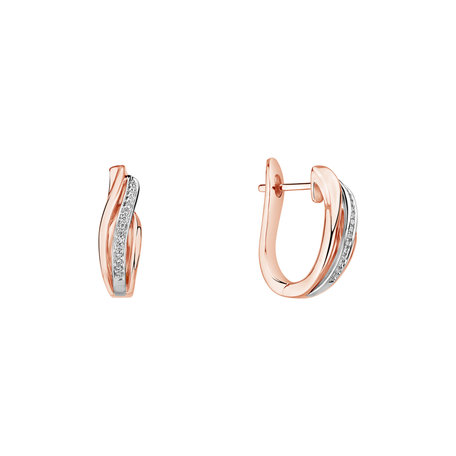 Diamond earrings Precious Ray