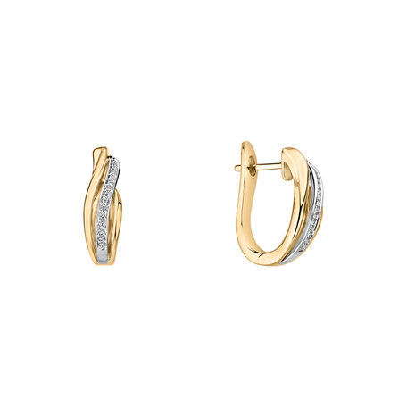 Diamond earrings Precious Ray