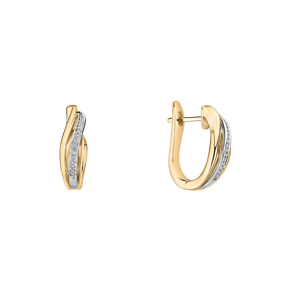 Diamond earrings Precious Ray