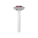 Diamond ring with Ruby Princess3