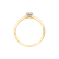 Diamond ring Space Dream3