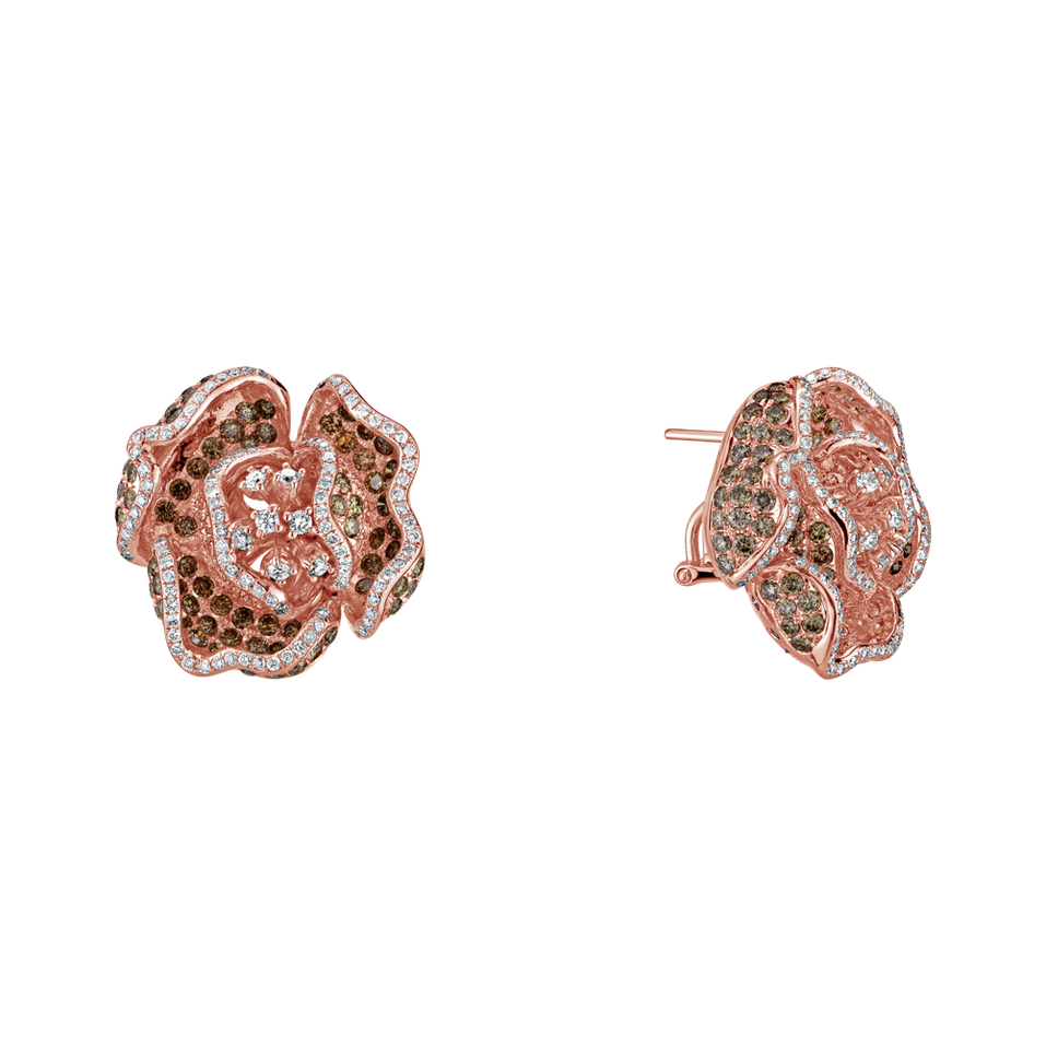 Earrings with brown and white diamonds Esperance