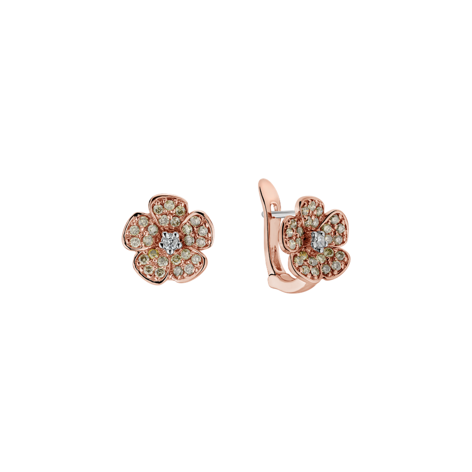 Earrings with brown and white diamonds Radiant Rose