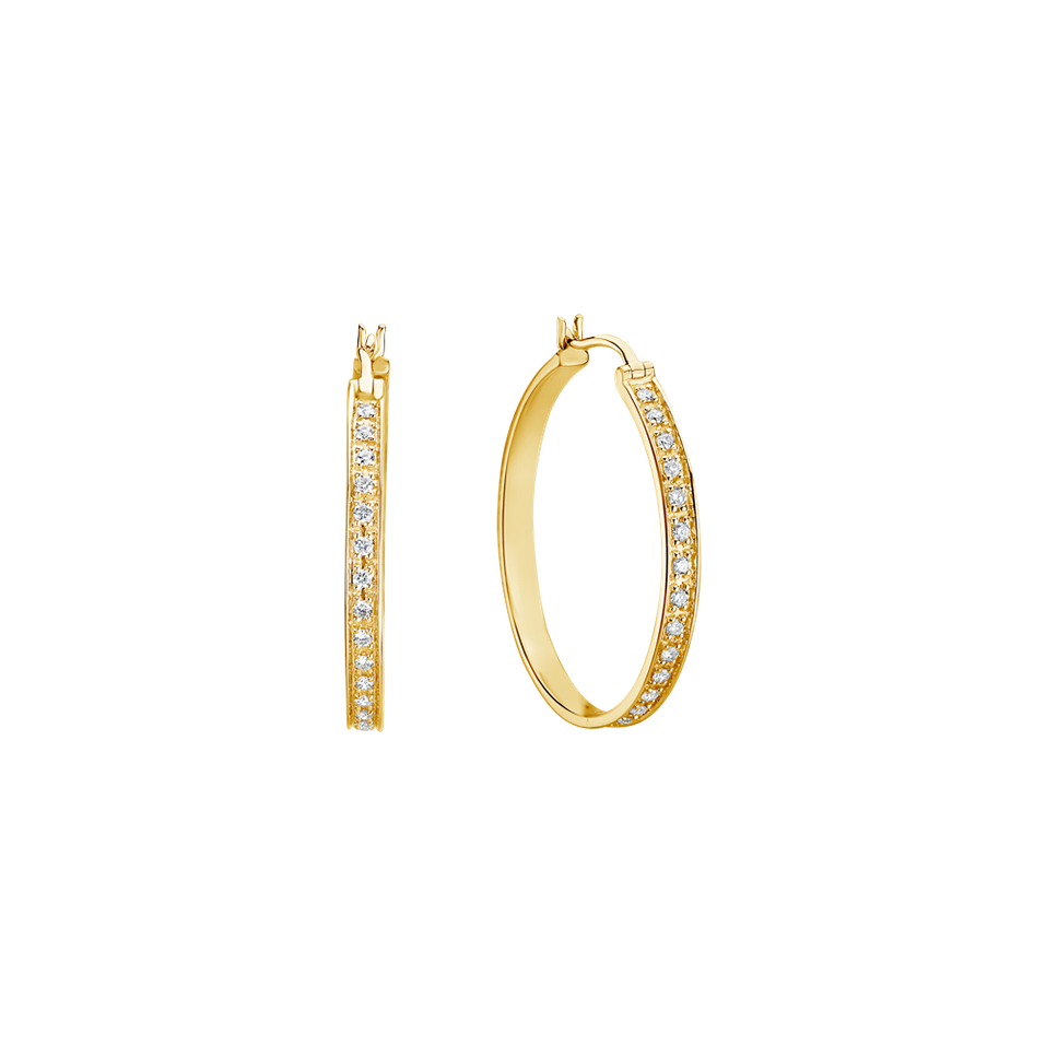 Diamond earrings Delicate Ray