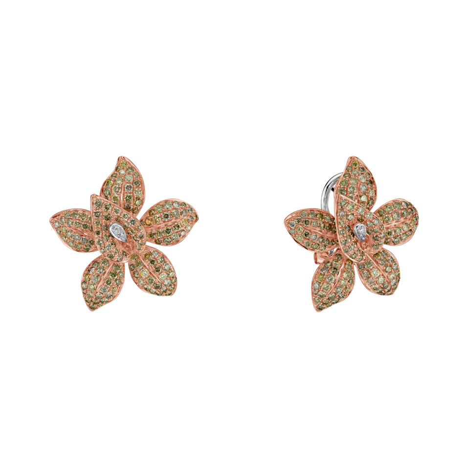 Earrings with brown and white diamonds Sinful Orchid