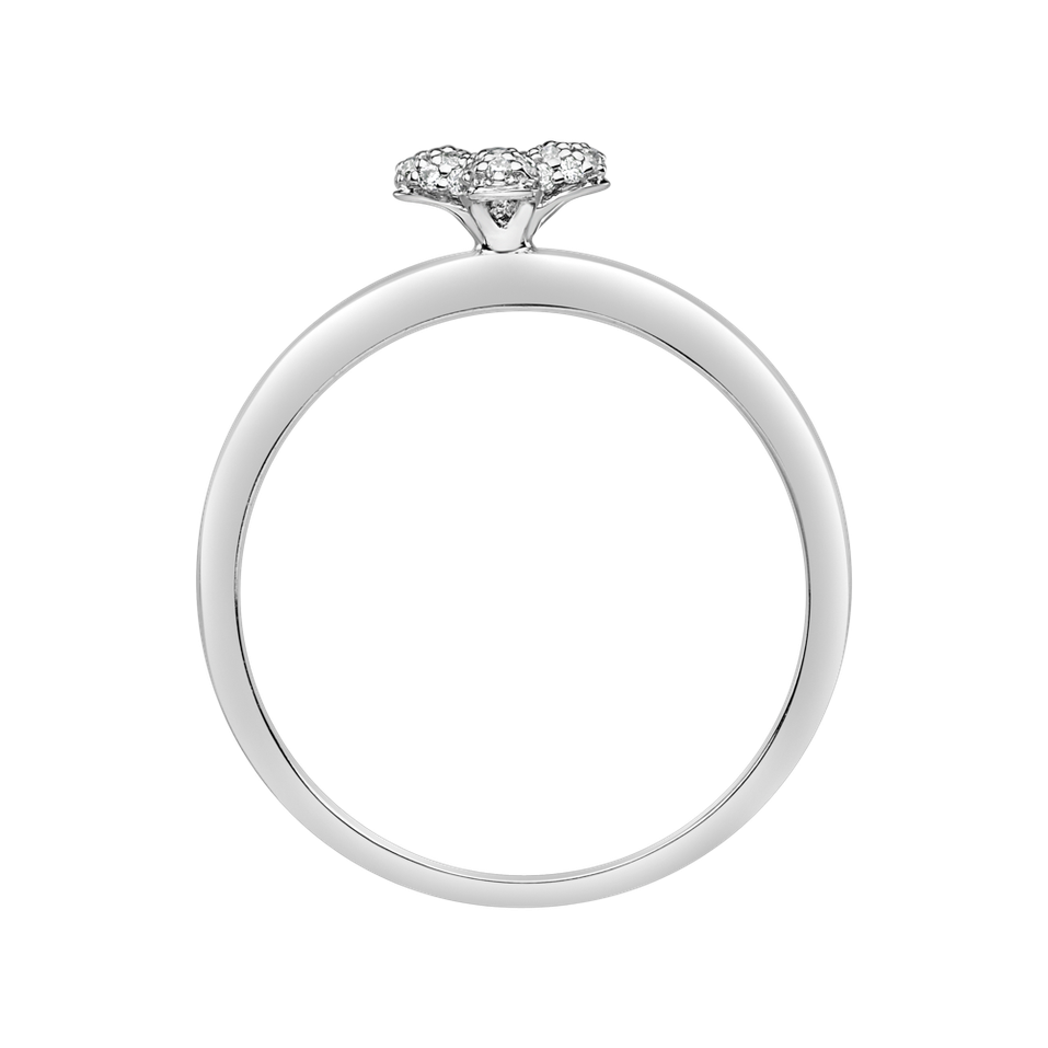 Diamond ring Nature Beauty