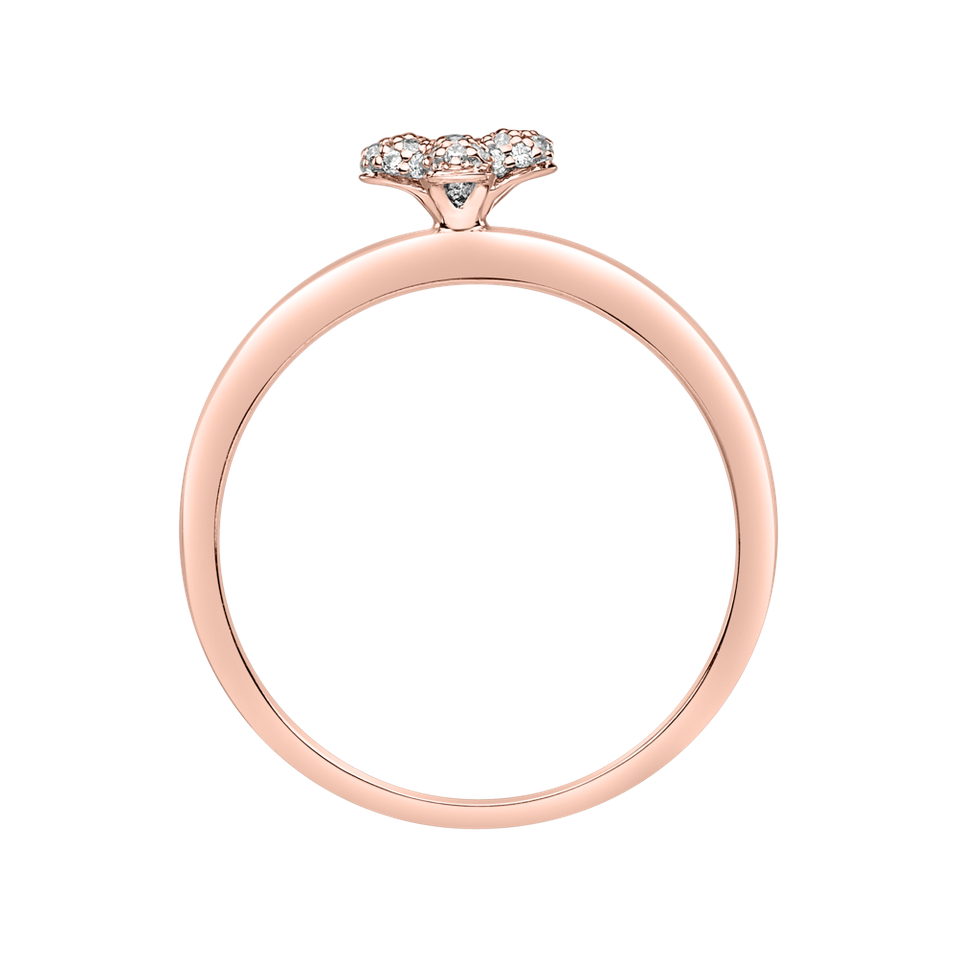 Diamond ring Nature Beauty