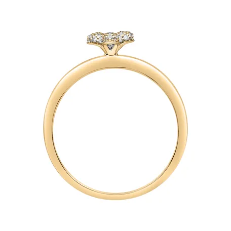Diamond ring Nature Beauty