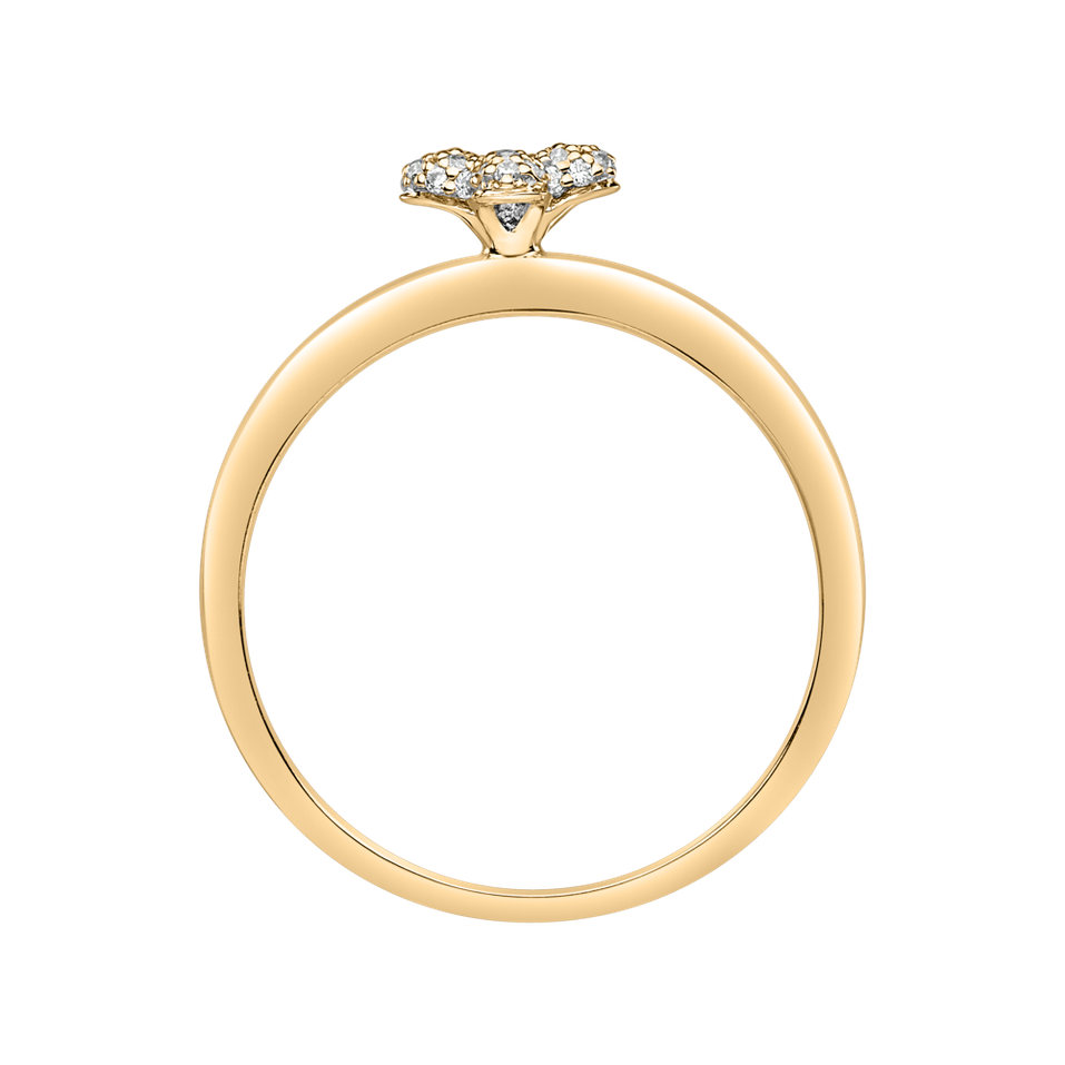 Diamond ring Nature Beauty