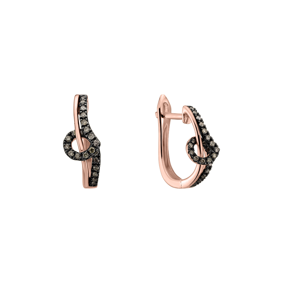 Earrings with brown diamonds Shine Melody