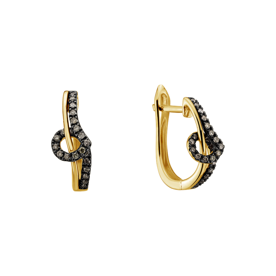 Earrings with brown diamonds Shine Melody
