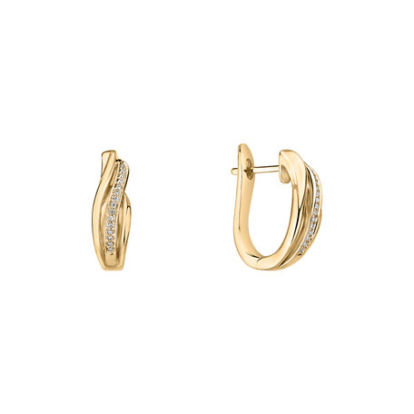 Diamond earrings Precious Ray