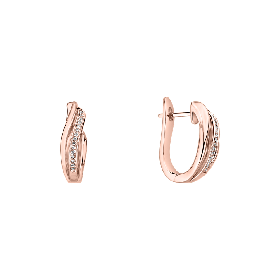 Diamond earrings Precious Ray