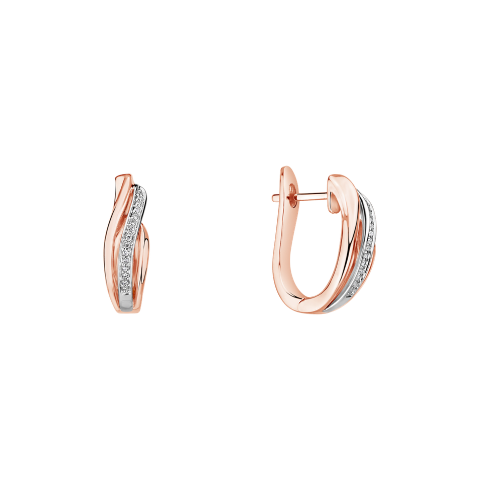 Diamond earrings Precious Ray