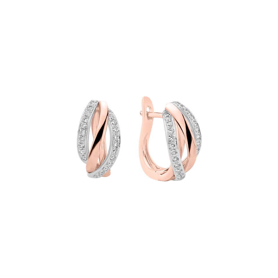 Diamond earrings Amazing Passion