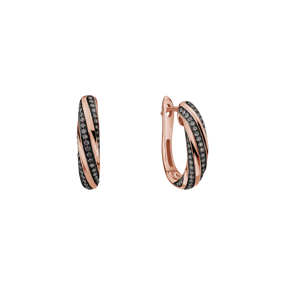 Earrings with brown diamonds Joyful Energy