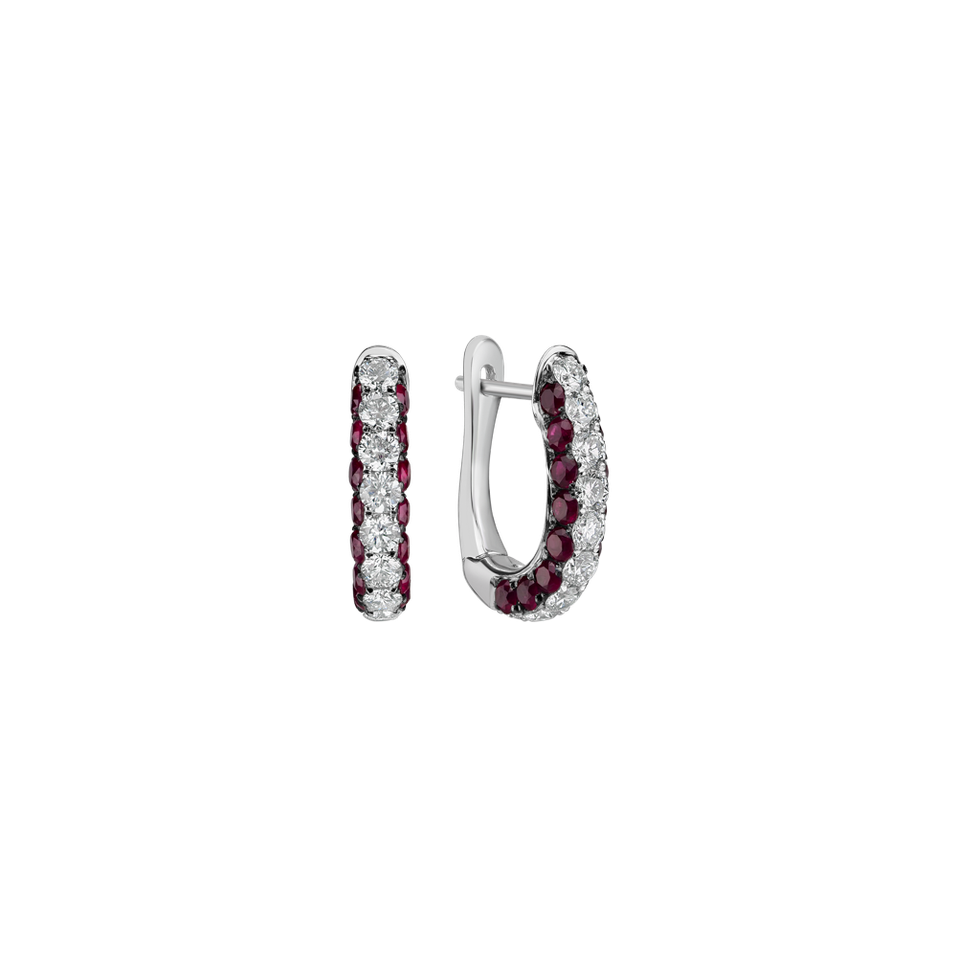 Diamond earrings and Ruby Charming Circles