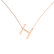 Diamond necklace Big Line H6