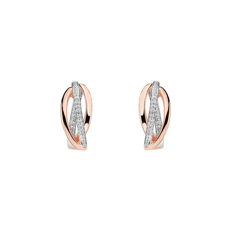 Diamond earrings Amazing Passion