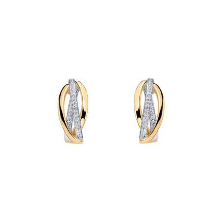 Diamond earrings Amazing Passion